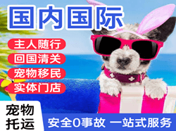 南洋航空物流国际宠物托运 【国